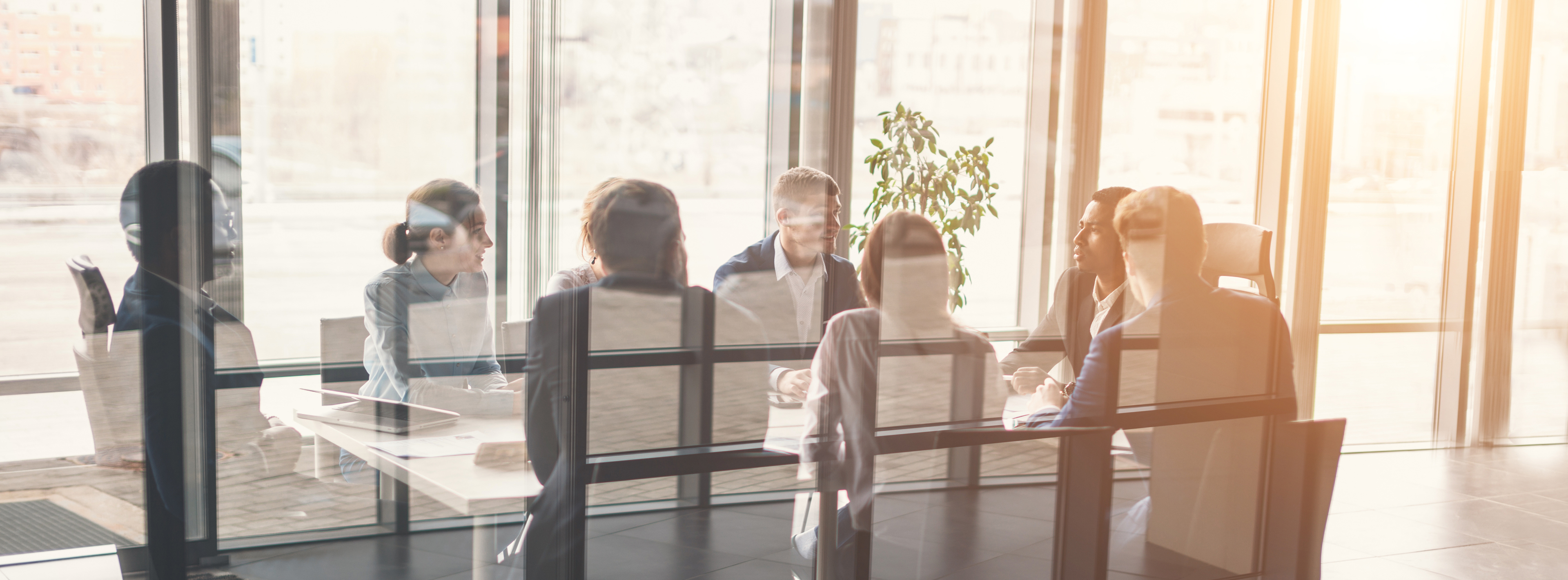 Ein Team von sechs Personen sitzt an einem Konferenztisch in einem modernen Büro. Großflächige Fenster lassen viel Licht herein. Die Anwesenden diskutieren lebhaft, während eine Pflanze im Hintergrund steht.