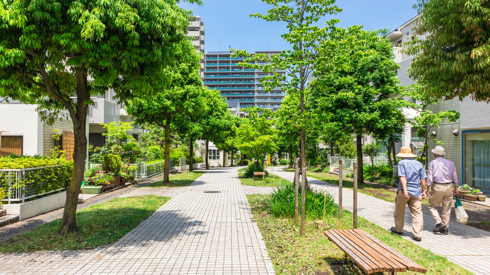 Zwei ältere Männer gehen in einem grünen Parkbereich mit Bäumen und Bänken. Das Pflaster verläuft zwischen den Pflanzen und Wohngebäuden, während das Wetter sonnig und klar ist.
