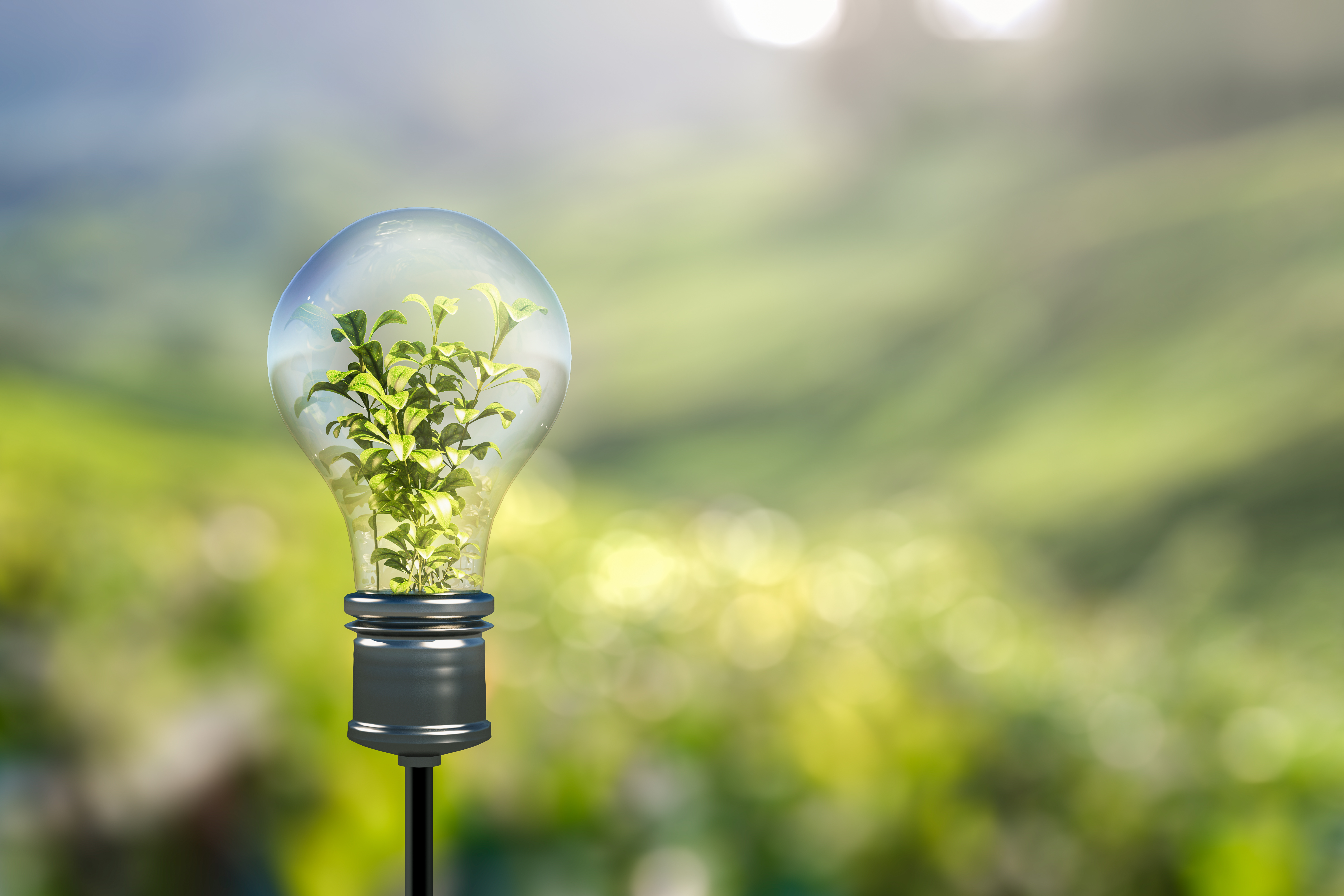 A light bulb filled with greenery symbolizes sustainability and growth. The background is blurred, suggesting a natural environment. This image represents the idea of combining nature with innovation.