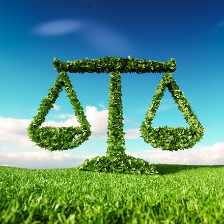 Eine stilisierte Waage aus Blättern, die auf einer grünen Wiese steht, vor einem klaren Himmel. Die Waage symbolisiert das Gleichgewicht zwischen Natur und Gerechtigkeit.