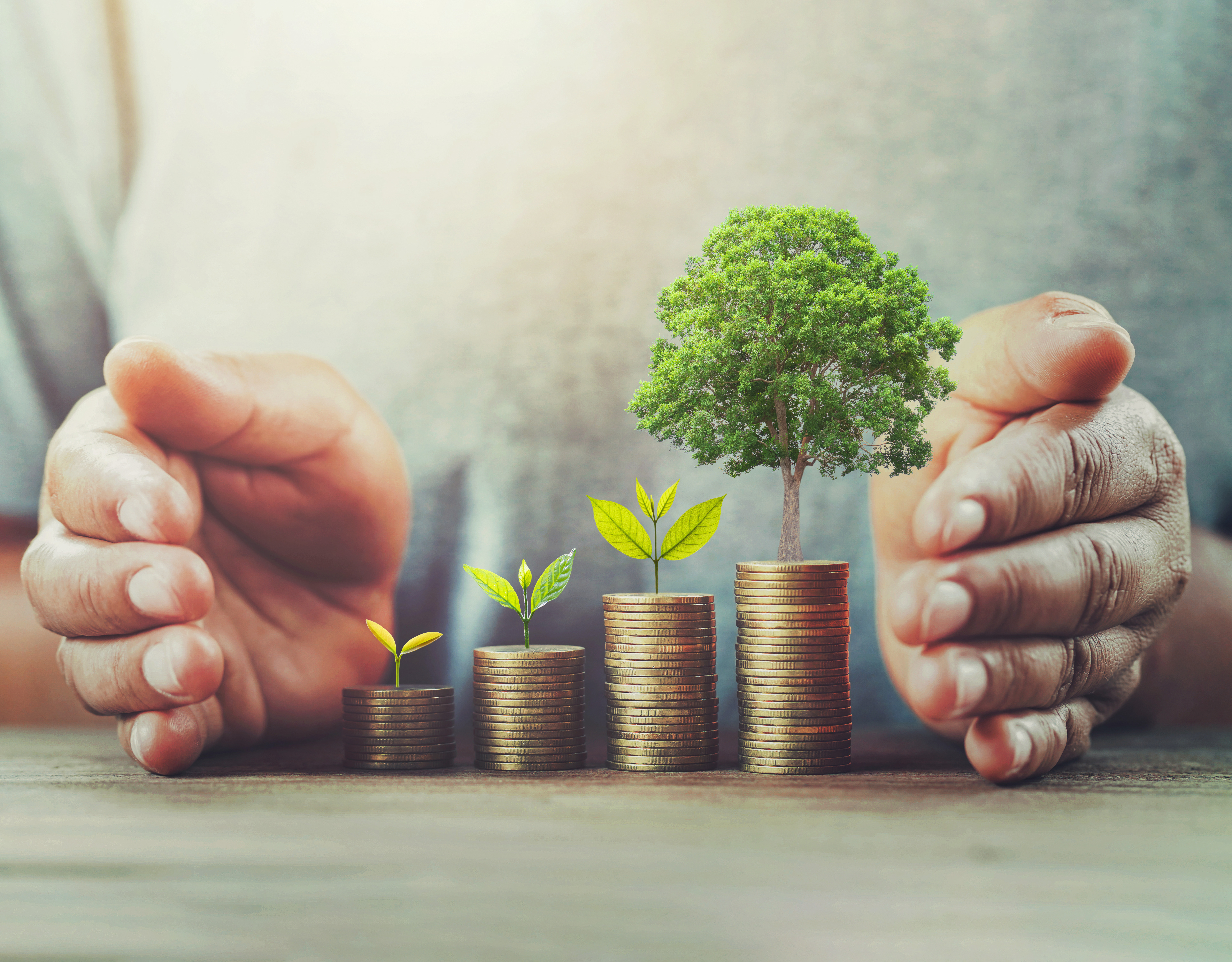 Hände schützen einen Stapel von Münzen, auf denen drei Pflanzen wachsen: eine kleine Pflanze, eine mittlere und ein großer Baum. Das Bild symbolisiert das Wachstum und den Schutz von Investitionen in Nachhaltigkeit und Umwelt.