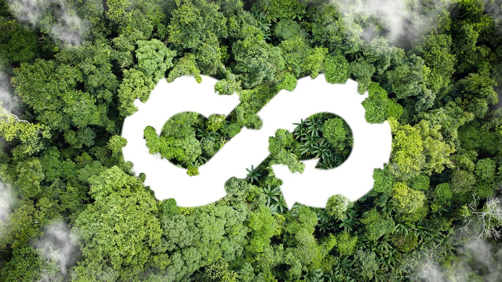 Ein grüner Wald mit einer spiralförmigen Symbolik in der Mitte, die für Nachhaltigkeit und Kreislaufwirtschaft steht. Die Baumkronen sind dicht und vielfältig, was die Fülle der Natur symbolisiert.