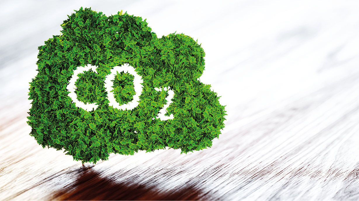Ein grünes Blatt-Motiv in Form einer Wolke zeigt die Buchstaben „CO2“ auffällig in der Mitte. Das Bild symbolisiert den Zusammenhang zwischen Natur und Kohlendioxid, möglicherweise im Kontext von Klimaschutz oder Nachhaltigkeit. Der Hintergrund ist weich und hell.