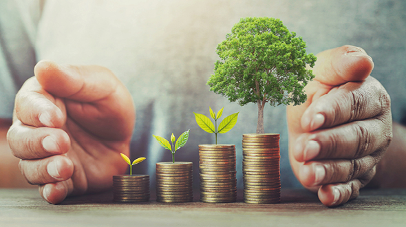 Hände umarmen gestapelte Münzen, auf denen kleine Pflanzen und ein größerer Baum wachsen. Die Szene symbolisiert Wachstum und finanzielle Sicherheit durch nachhaltige Investitionen.