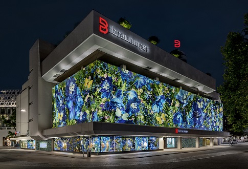 Das Bild zeigt ein modernes Gebäude mit einer auffälligen, farbenfrohen Blumendekoration, die die Fassaden umhüllt. Ein beleuchtetes Zeichen mit der Aufschrift "b. blumenanger" ist deutlich sichtbar. Die Szenerie ist nachts aufgenommen, was eine besondere Atmosphäre kreiert.