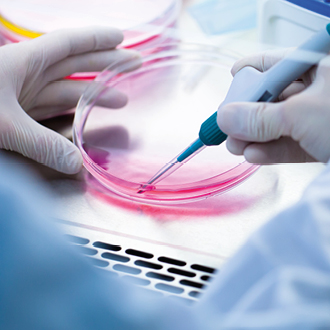 Eine Person mit Handschuhen führt mit einem Pipettierer eine Flüssigkeit in eine Petrischale ein, die eine rosa Färbung aufweist. Im Hintergrund sind weitere Laborutensilien zu erkennen.