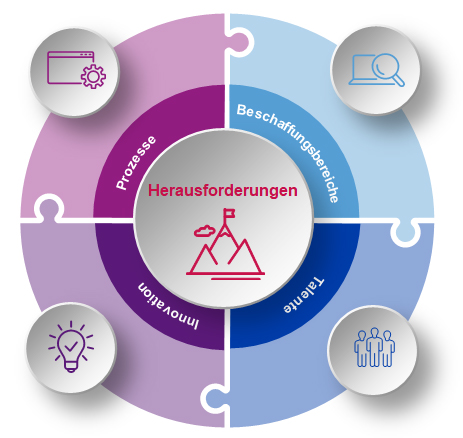 Das Bild zeigt ein Diagramm mit dem zentralen Begriff „Herausforderungen“, umgeben von vier Kategorien: Prozesse, Beschaffungsbereiche, Teilhabe und Innovation. Jede Kategorie ist in einem eigenen Segment angeordnet, das zur zentralen Idee beiträgt.