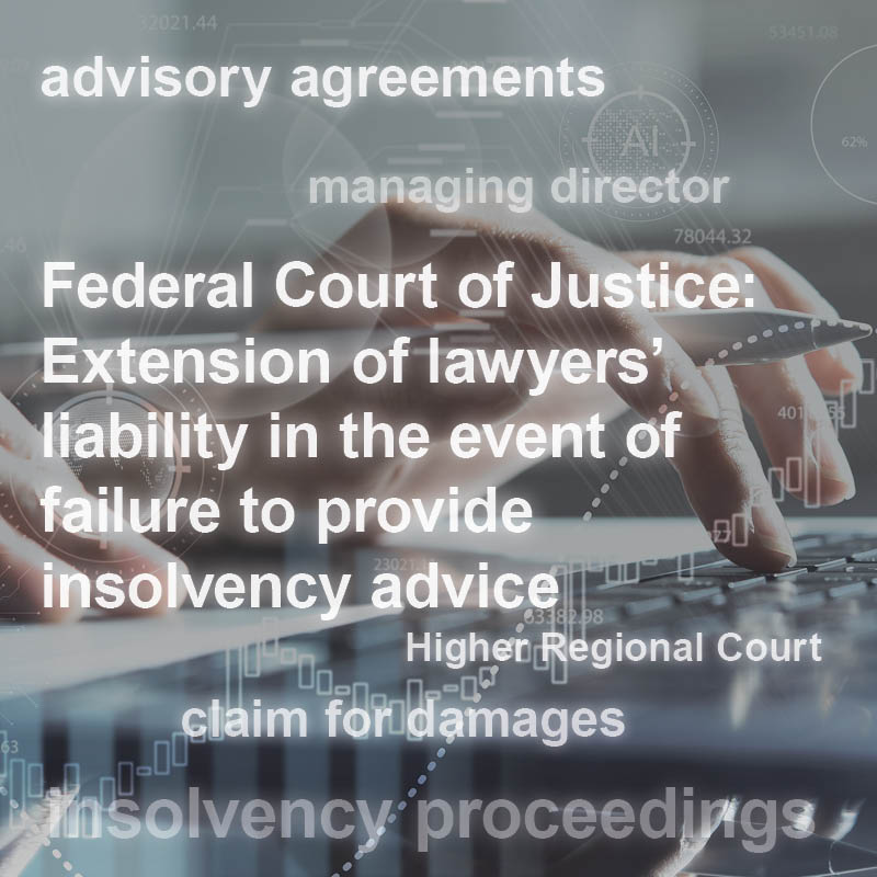 A close-up of hands typing on a keyboard, with overlaid text discussing legal topics. Key phrases include "Federal Court of Justice," "lawyers' liability," "insolvency advice," and "claim for damages." The image reflects themes of legal contracts and courtroom proceedings.