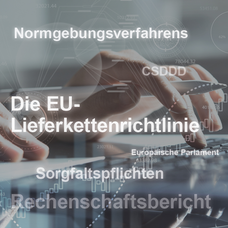 Eine Person tippt an einem Laptop. Auf dem Bildschirm sind Begriffe zur EU-Lieferkettengesetzgebung sichtbar, darunter "Sorgfaltspflichten" und "Rechnungsbericht". Das Bild thematisiert regulatorische Aspekte im Kontext der Lieferkettenrichtlinie der EU.