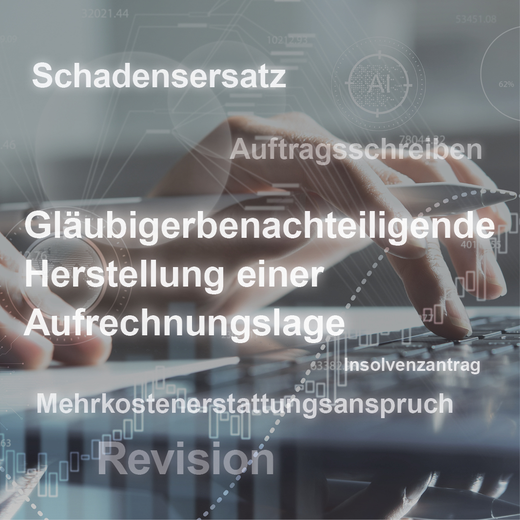 Ein Computerbildschirm mit einer Hand, die auf die Tastatur tippt. Auf dem Bildschirm sind Begriffe wie "Schadenersatz", "Auftragschreiben," und "Insolvenzantrag" sichtbar, die rechtliche und finanzielle Themen ansprechen.