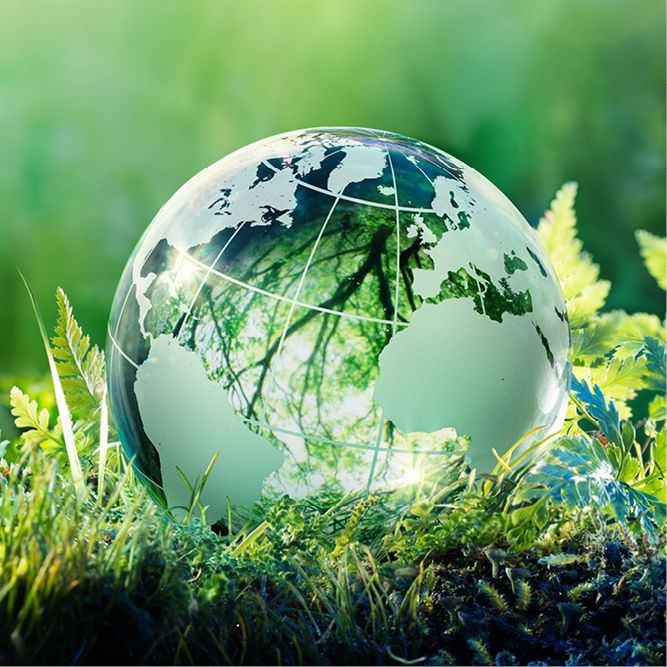 Eine transparente Erde mit einer grünen Reflexion, umgeben von frischem Gras und Farnen. Das Bild symbolisiert Natur und Umweltschutz.